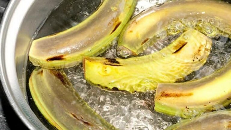 7 kroków do uprawy chayote – odkryj, jak stworzyć epicką roślinę!